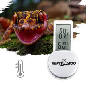 Digital reptile thermometer displaying temperature in a terrarium