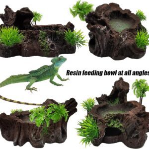 Reptile Feeding Bowl filled with food for pet snakes, lizards, and other reptiles.