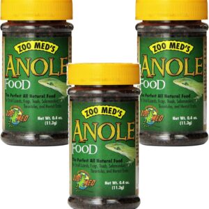 A jar of Zoo Med Anole Chameleons Food, specifically formulated for the dietary needs of anole chameleons